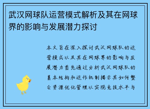 武汉网球队运营模式解析及其在网球界的影响与发展潜力探讨
